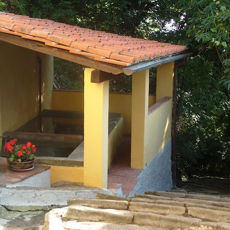 Il Podere Di Giada Bed & Breakfast Bagni di Lucca Eksteriør bilde