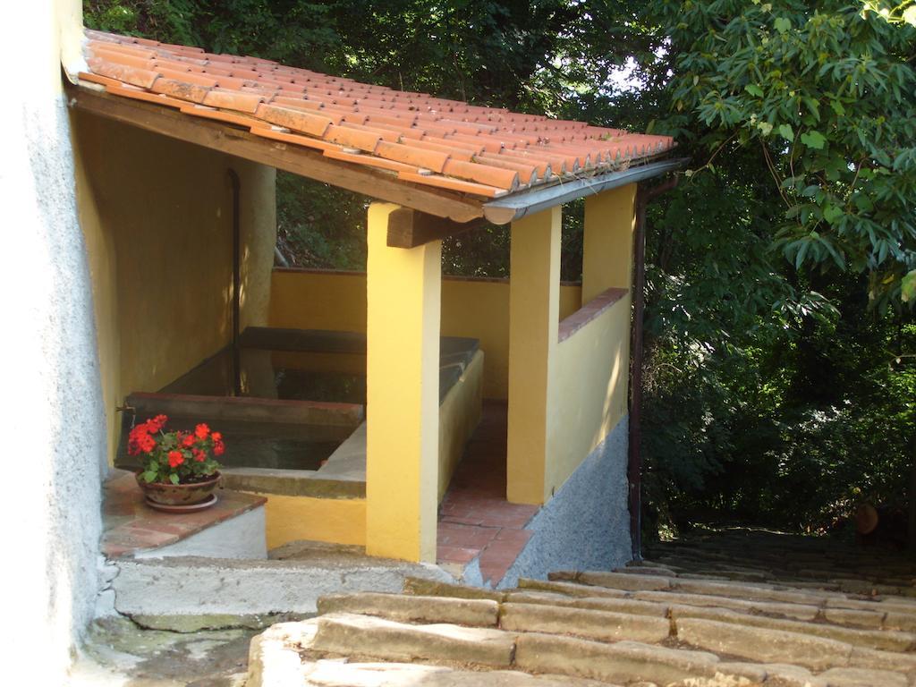 Il Podere Di Giada Bed & Breakfast Bagni di Lucca Eksteriør bilde